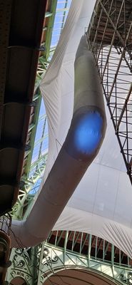 IMG-20240811-WA0148.jpg