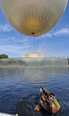 IMG-20240830-WA0021.jpg