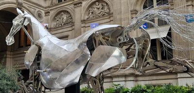 JO - ZEUS - Cheval Cérémonie - Hotel de ville de Paris