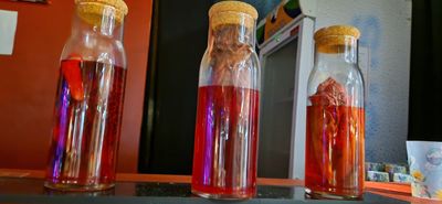 IMG-20240818-WA0020.jpg