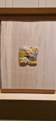 IMG-20241103-WA0013.jpg