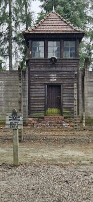 IMG-20250714-WA0227.jpg