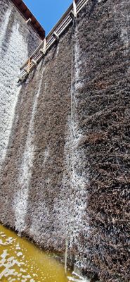 IMG-20250715-WA0106.jpg