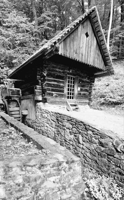 IMG-20250715-WA0189.jpg