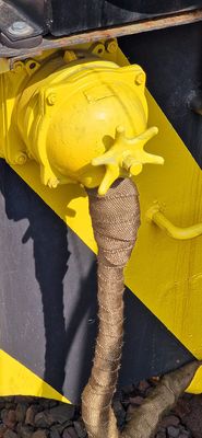 IMG-20250721-WA0351.jpg