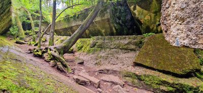 IMG-20250723-WA0039.jpg