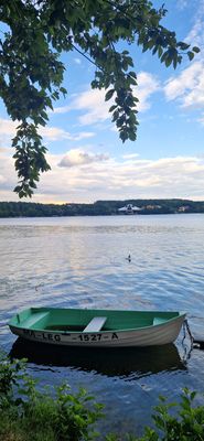 IMG-20250724-WA0100.jpg