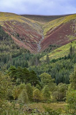 Near Wythburn