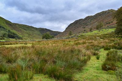Near Wythburn