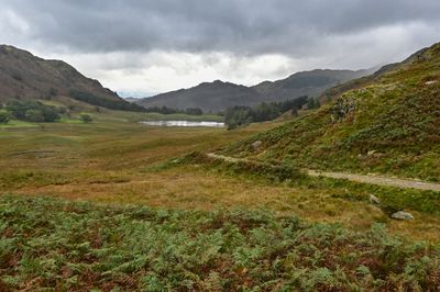 Great Langdale