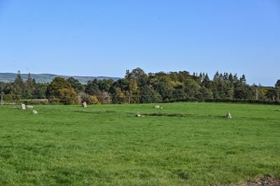 Twelve Apostles Stone Circle