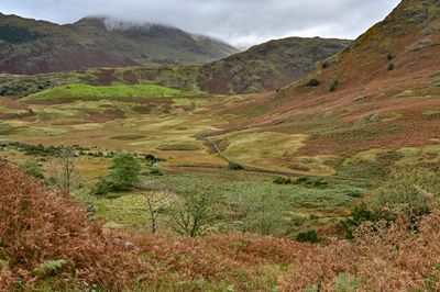 Little Langdale