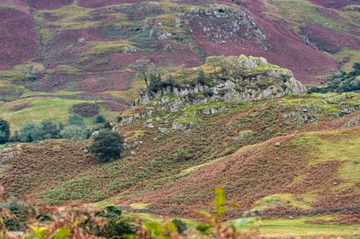 Little Langdale