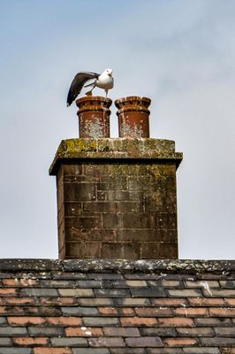 Penrith, Cumbria, England