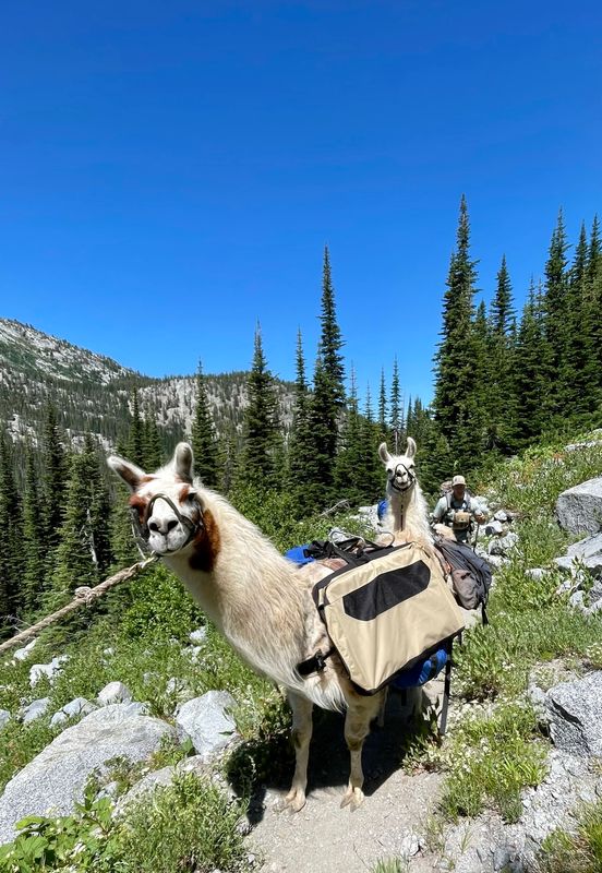Wallowas_75.JPEG