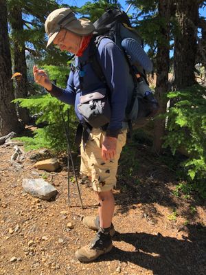 Steve collecting tortoiseshell butterflies