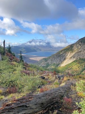 Norway Pass