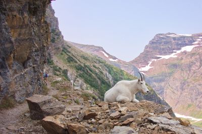 Glacier_104.jpg