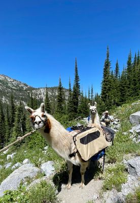 Wallowas_75.JPEG