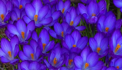 g13/87/750787/3/175424156.bb1a87dd.JPEG
