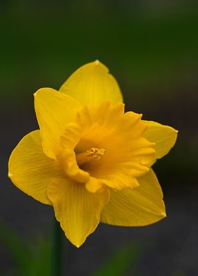 g13/87/750787/3/175450460.318b6d01.JPEG