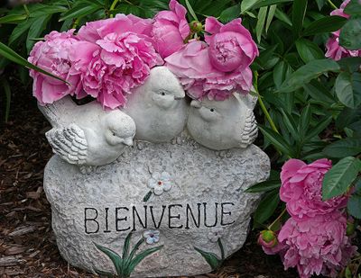 DANS LE SILENCE DES FLEURS 2025