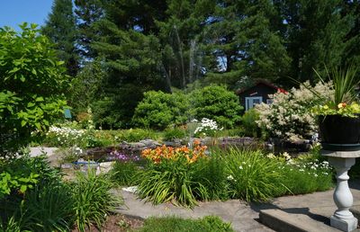 g13/87/750787/3/175659258.67d6ec73.JPEG