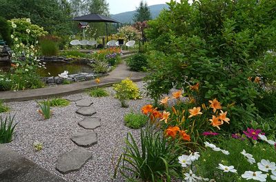 JUST THE BACKYARD HERE