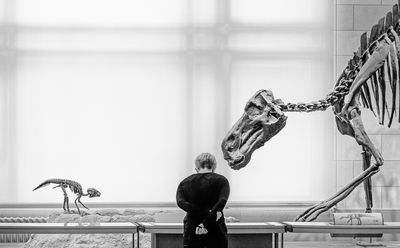 The evolution of curiosity