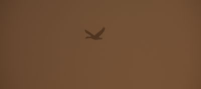g13/88/1322888/3/175278689.39c4472d.JPEG