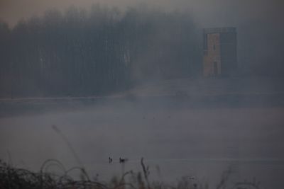 g13/88/1322888/3/175278692.ee596823.JPEG