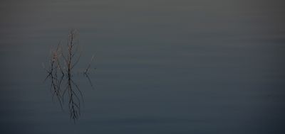 g13/88/1322888/3/175278715.4063fcc6.JPEG