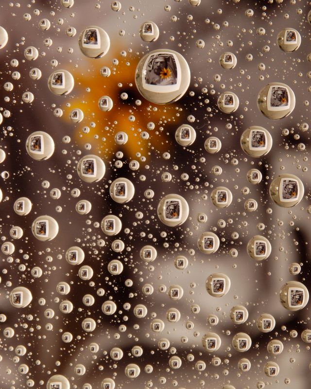 Self Portrait in Water Drops