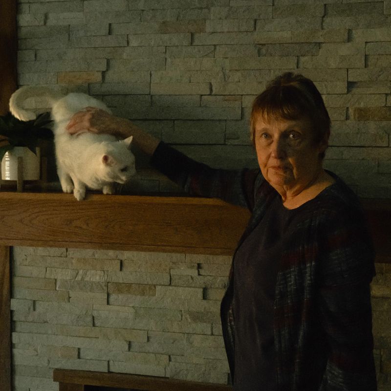 Cat On The Mantel