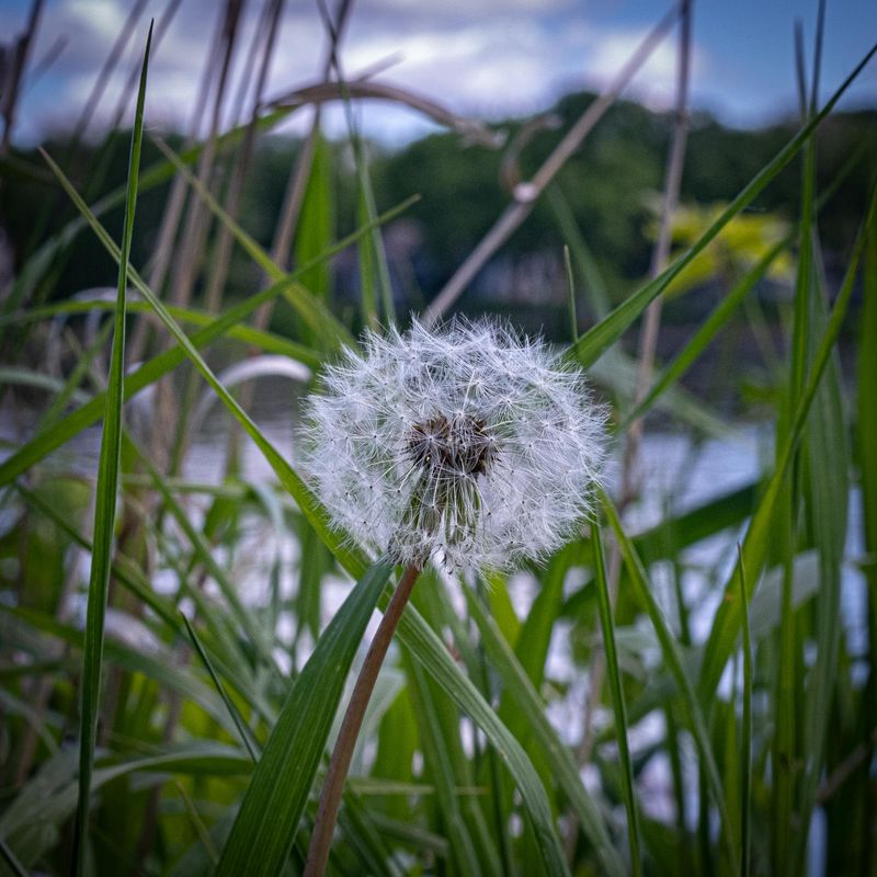 Daily Shots