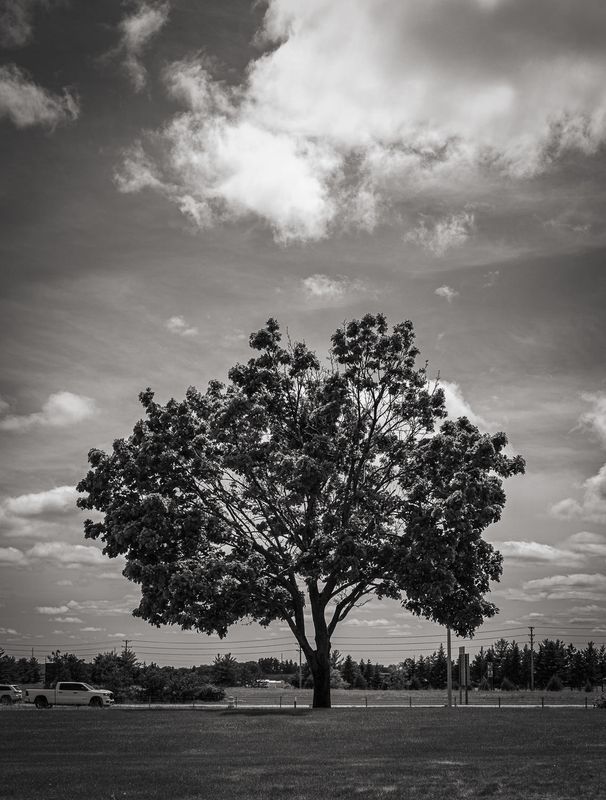 Alone
