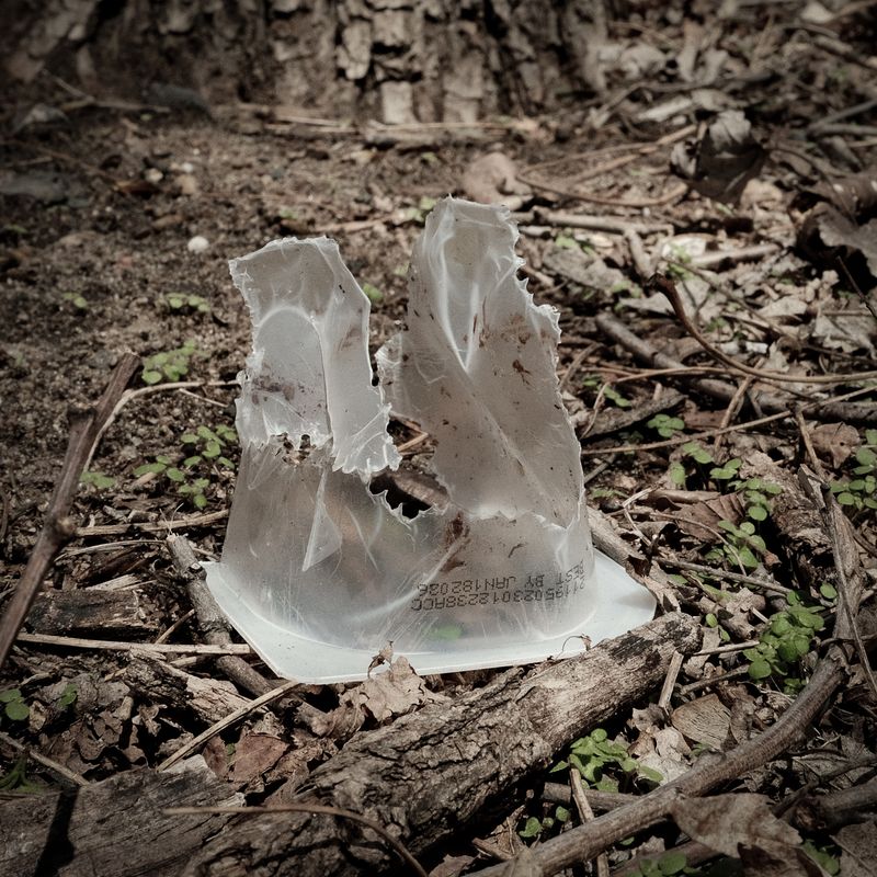Photo Journal
