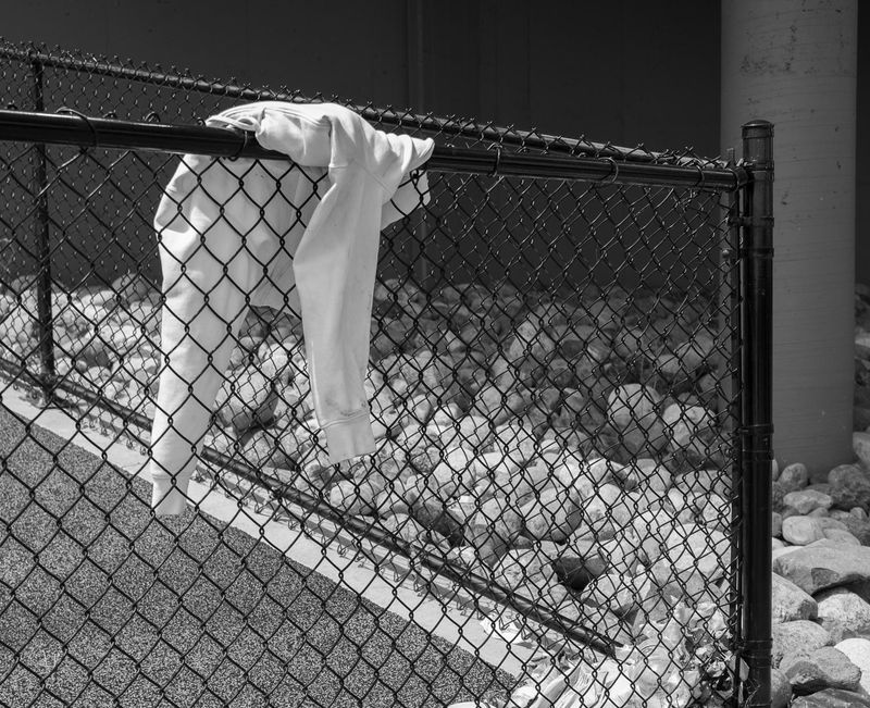 Photo Journal