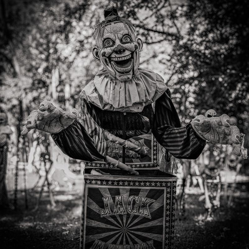 Photo Journal