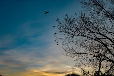 g13/88/312588/3/174151220.f2a6d2b5.JPEG