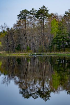 Reflections