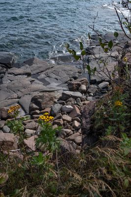 North Shore-4.jpg