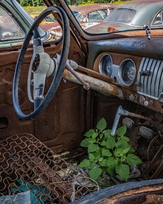 g13/88/312588/3/175220062.1d32fb38.JPEG