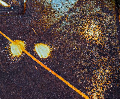 Abstracts