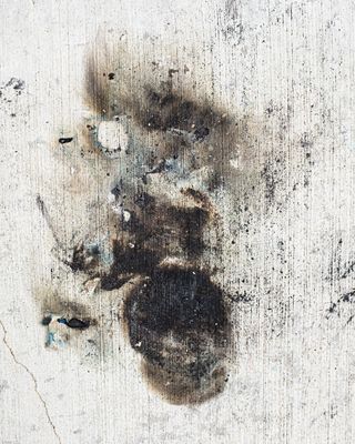 g13/88/312588/3/175474258.1b657f04.JPEG