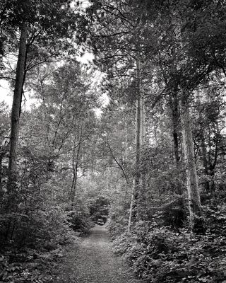 Photo Journal
