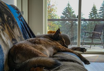 g13/88/312588/3/175790506.d1f73988.JPEG