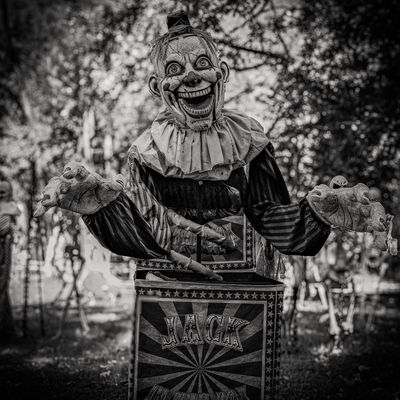 Photo Journal