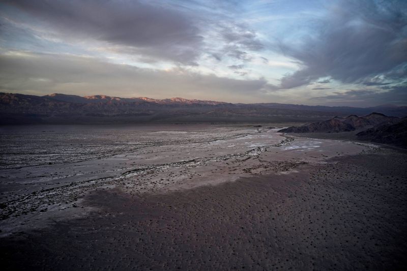 Ibex Dunes DV  2023 - 0001.jpg