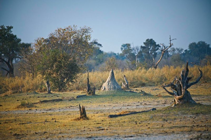 081624 Landscape 1.jpg